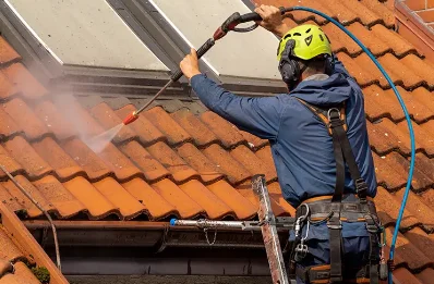 Démoussage et hydrofuge de toiture à Vue